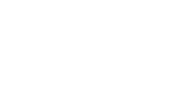logo suncoast